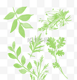 绿色手绘枝叶图片_绿色手绘通用花草装饰