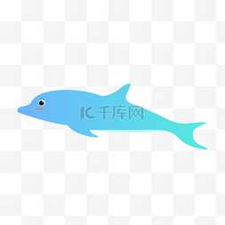 海豚免抠图图片_矢量卡通蓝色鲸鱼