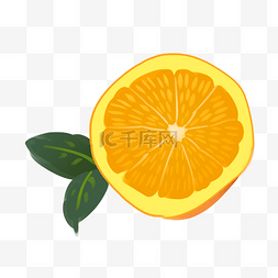 卡通切面切面图片_切开的美味鲜橙插画