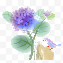 紫色绣球花朦胧装饰花卉花鸟PNG