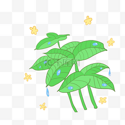 植物绿叶滴露手绘插画