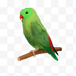 学话的鹦鹉图片_站在树枝的绿色鹦鹉卡通素材免费