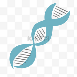 双螺旋链图片_彩色双螺旋基因链