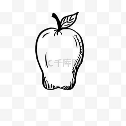 黑白线描食物图片_线描苹果