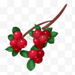 红色果实手绘图片_手绘立体蔓越莓果实