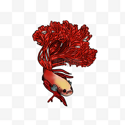 手绘卡通红色锦鲤珊瑚插画