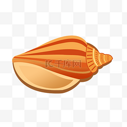 手绘海鲜贝壳图片_手绘橘黄色海螺插画