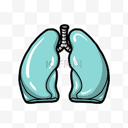 手绘人体器官肺部