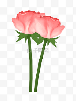 绿色的花叶图片_两朵粉色玫瑰花插画