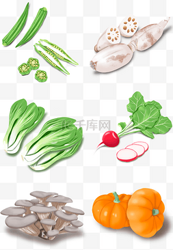 手绘绿色蔬菜青菜萝卜