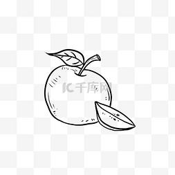 叶子的简笔画图片_切开的苹果