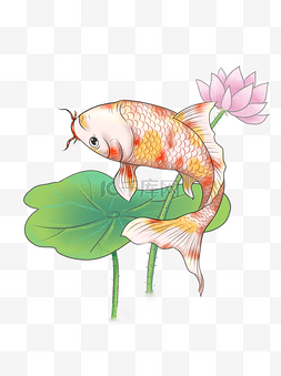 红色鱼装饰图片_商用新年红色黄色锦鲤新春鲤鱼荷