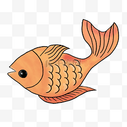 橙色的鱼儿 