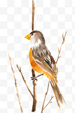 枝头的鸟水彩画PNG免抠素材