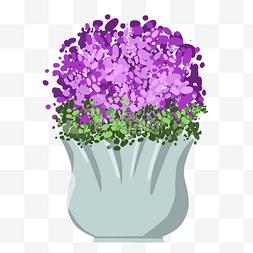 紫色花卉盆栽