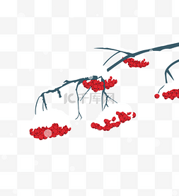 雪图片_冬天雪中树枝和果实