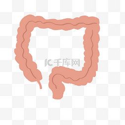 动漫摊位图片_粉红色手绘的人体器官