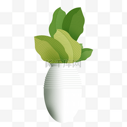 手绘水仙图片_白色陶瓷瓶大叶子植物