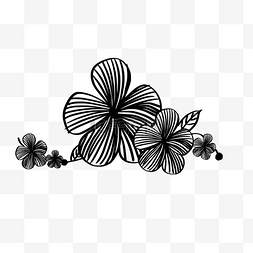 黑色线描图片_手绘黑色线条花卉