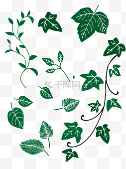 多种植物叶子手绘套图混合合集