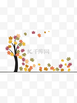 秋天飘落黄色彩色秋树枫叶素材