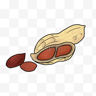 红色的花生手绘插画