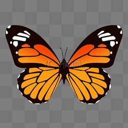 漂亮的翅膀图片图片_橙色手绘蝴蝶PSD免抠图