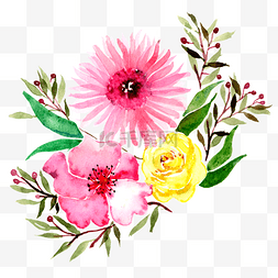 手绘水彩彩色植物图片_水彩花卉植物花卉鲜花