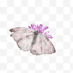 手绘水彩在花中的蝴蝶
