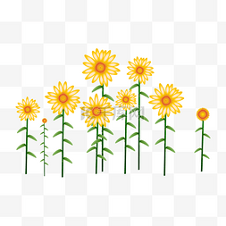 草坪矢量素材图片_矢量卡通黄色花朵