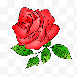 红色一支玫瑰花插画