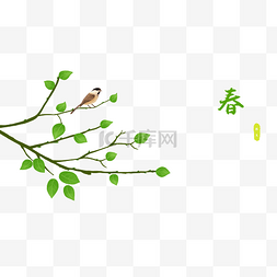 小鸟和树枝图片_春天嫩树枝和小鸟PNG