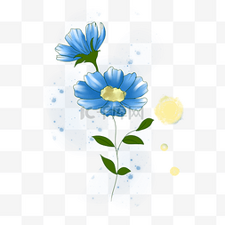 春天里蓝色的花雏菊手绘装饰