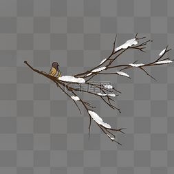 寒冷的冬季站在树枝上的小鸟