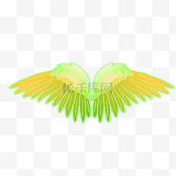 精美的翅膀图片_漂亮的果绿色翅膀插画