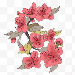 中国风手绘桃花插图