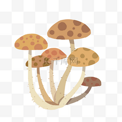 美味的菌类食物图片_卡通蘑菇装饰插画