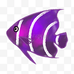 紫色的热带鱼装饰插画