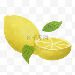 秋季果实柠檬插画