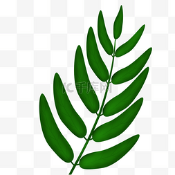 绿色清新美图图片_手绘绿色植物叶子免抠图