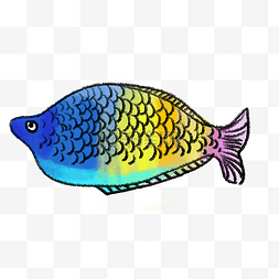 彩色的热带鱼插画