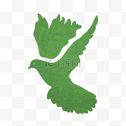 小鸽子图片_手绘绿色的小鸽子设计