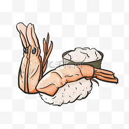 新鲜海鲜虾食材插画