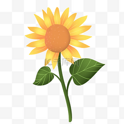 小太阳花卡通图片_可爱圆形小清新向日葵