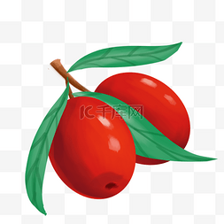 红枣子手绘