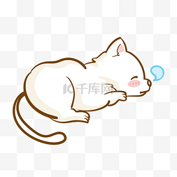猫咪睡觉图片_世界睡眠日白色猫咪