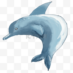 世界海洋日蓝色海豚png