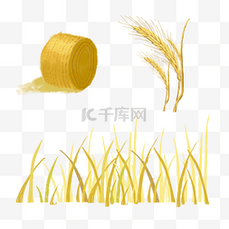 小石子草堆图片_芒种的麦穗稻堆