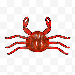 红色的海鲜帝王蟹