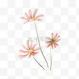 点缀粉色图片_水彩花朵手绘元素